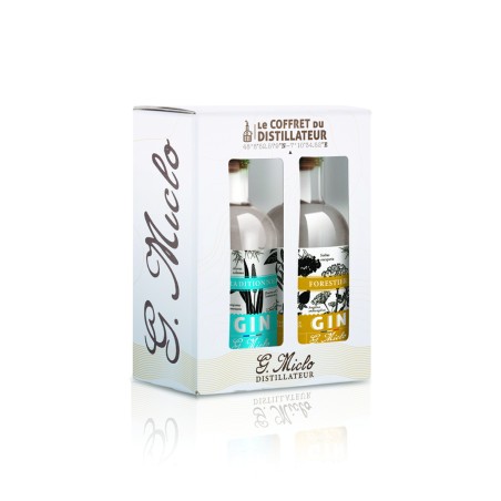 Gins Box 2x20cl