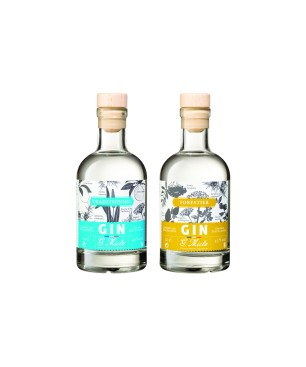 Gins Box 2x20cl