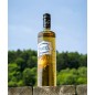 Pastis Pastis