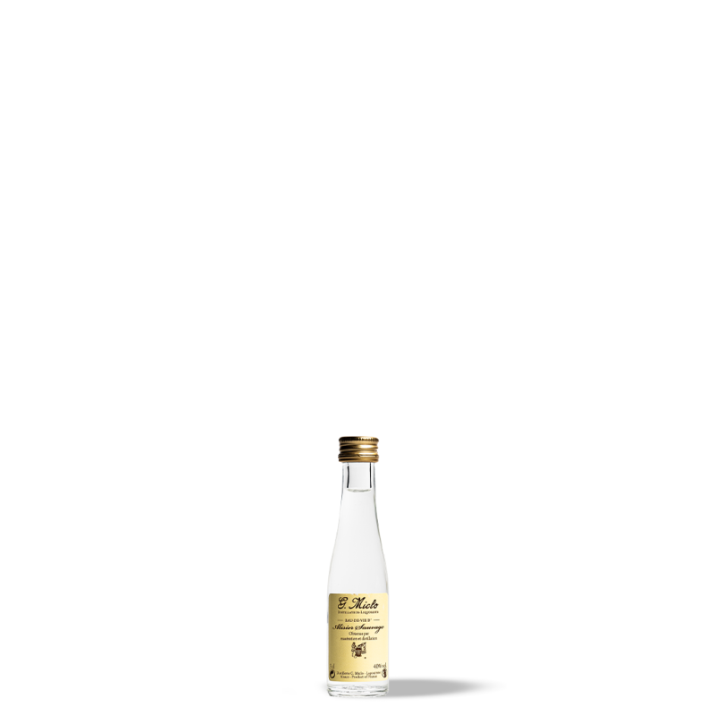 Alisier Sauvage Tradition 3cl
