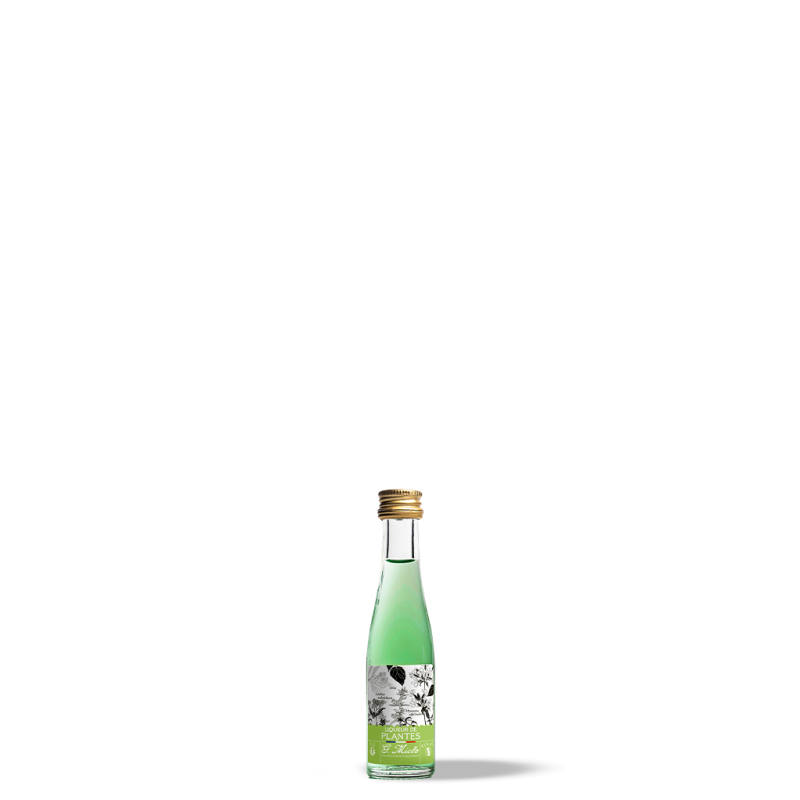 Liqueur de Plantes 3cl
