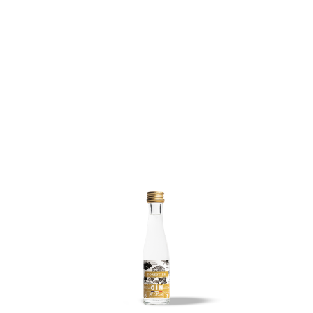 copy of Gin Distillé Forestier 70cl